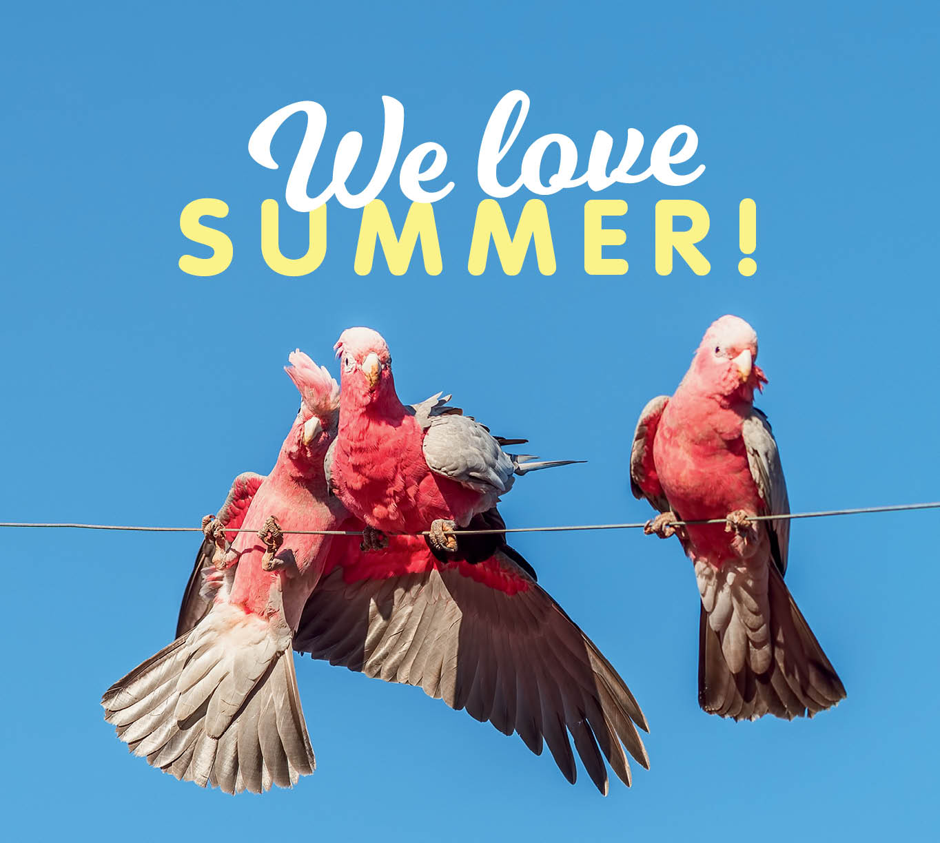 CH5328_Summer Trading Creative_Webtiles_682x612px